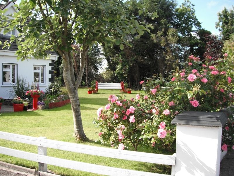 Briar Lodge Bunratty Exterior photo
